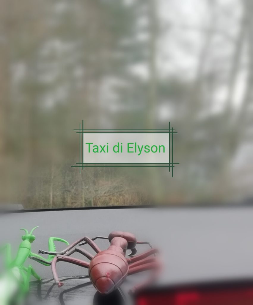in taxi con Elyson